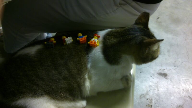 LEGO men sitting on school cat at Club Automatica (2013)